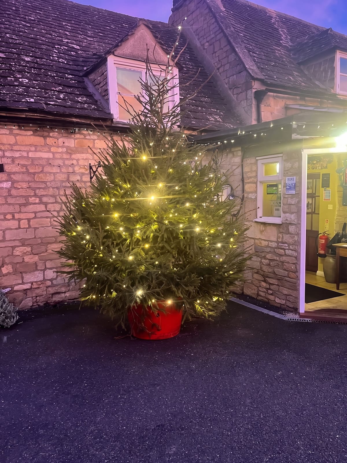 The Christmas tree outside the pub