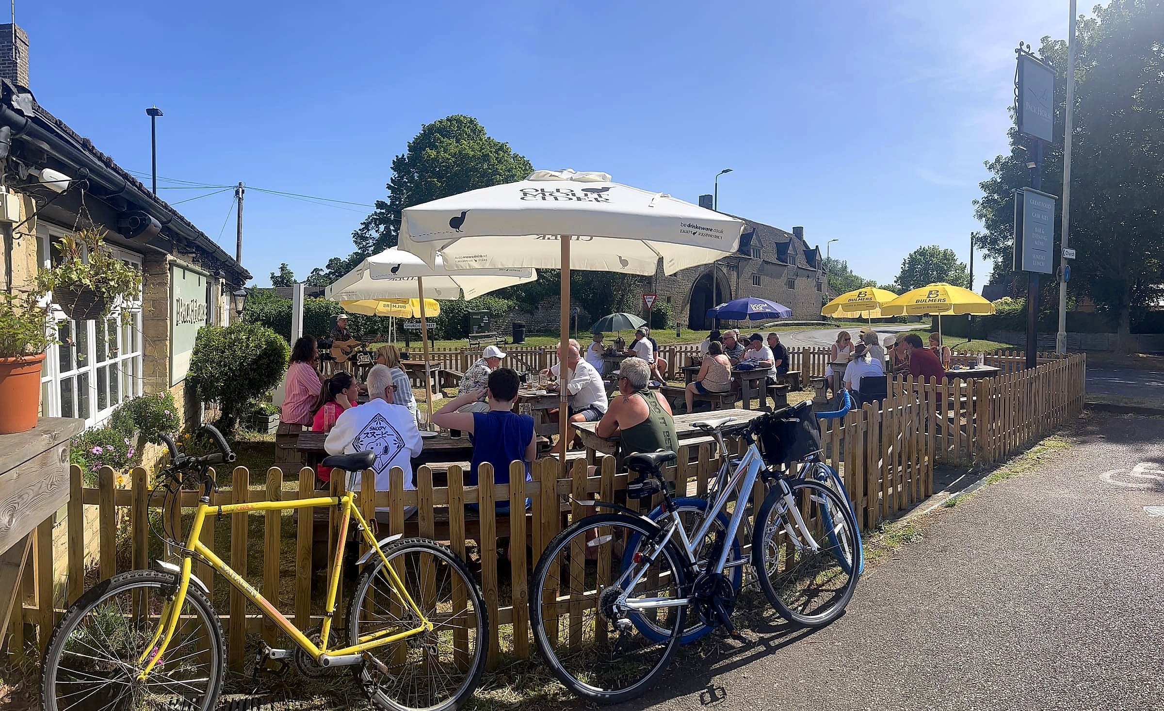 The garden on a sunny day